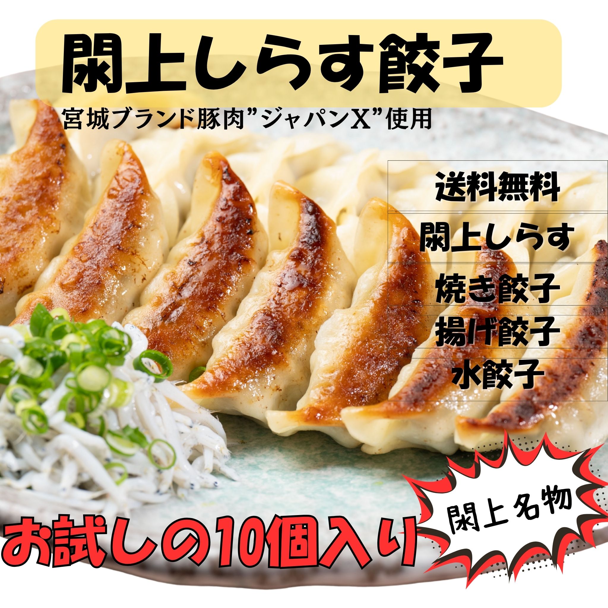 【10個】閖上しらす餃子
