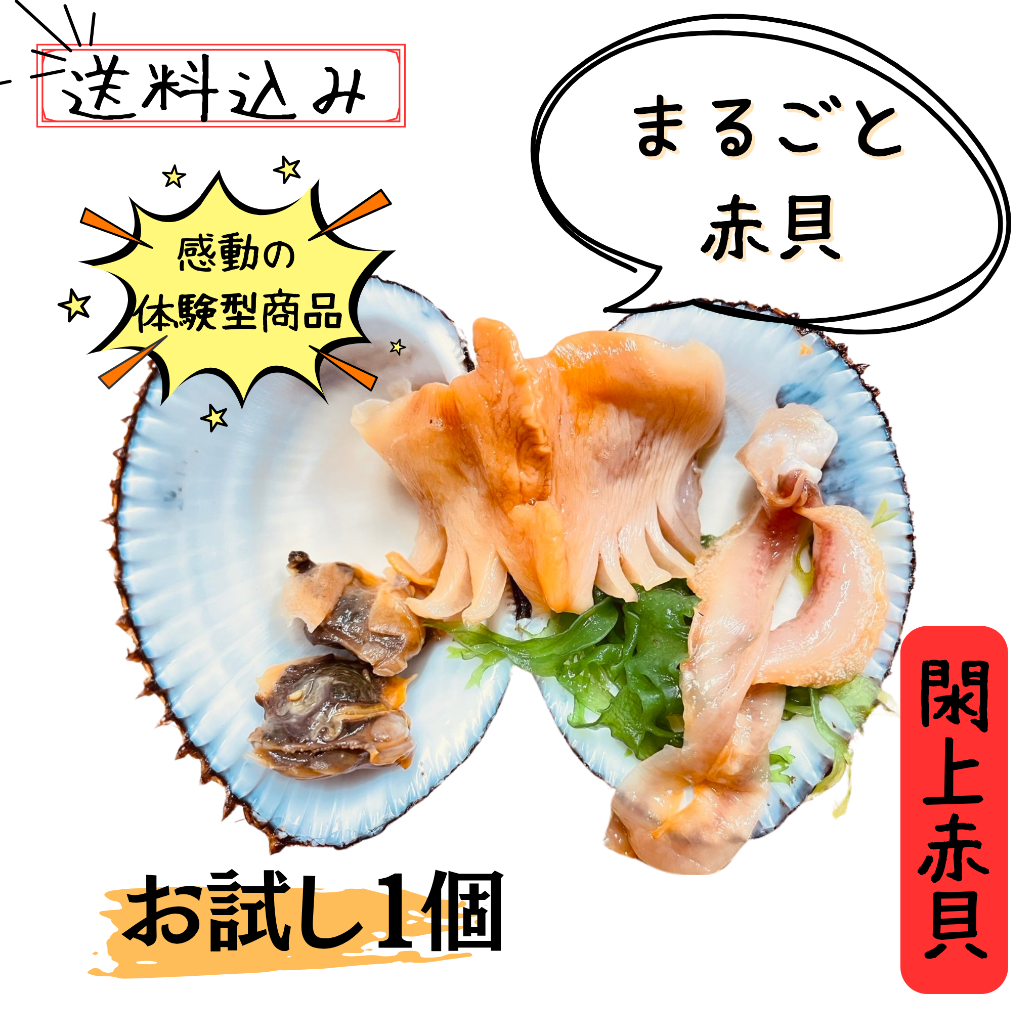 まるごと閖上赤貝