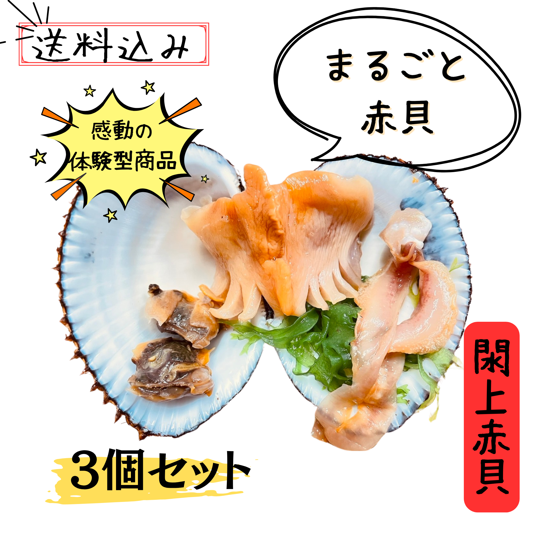 まるごと閖上赤貝3個でお得