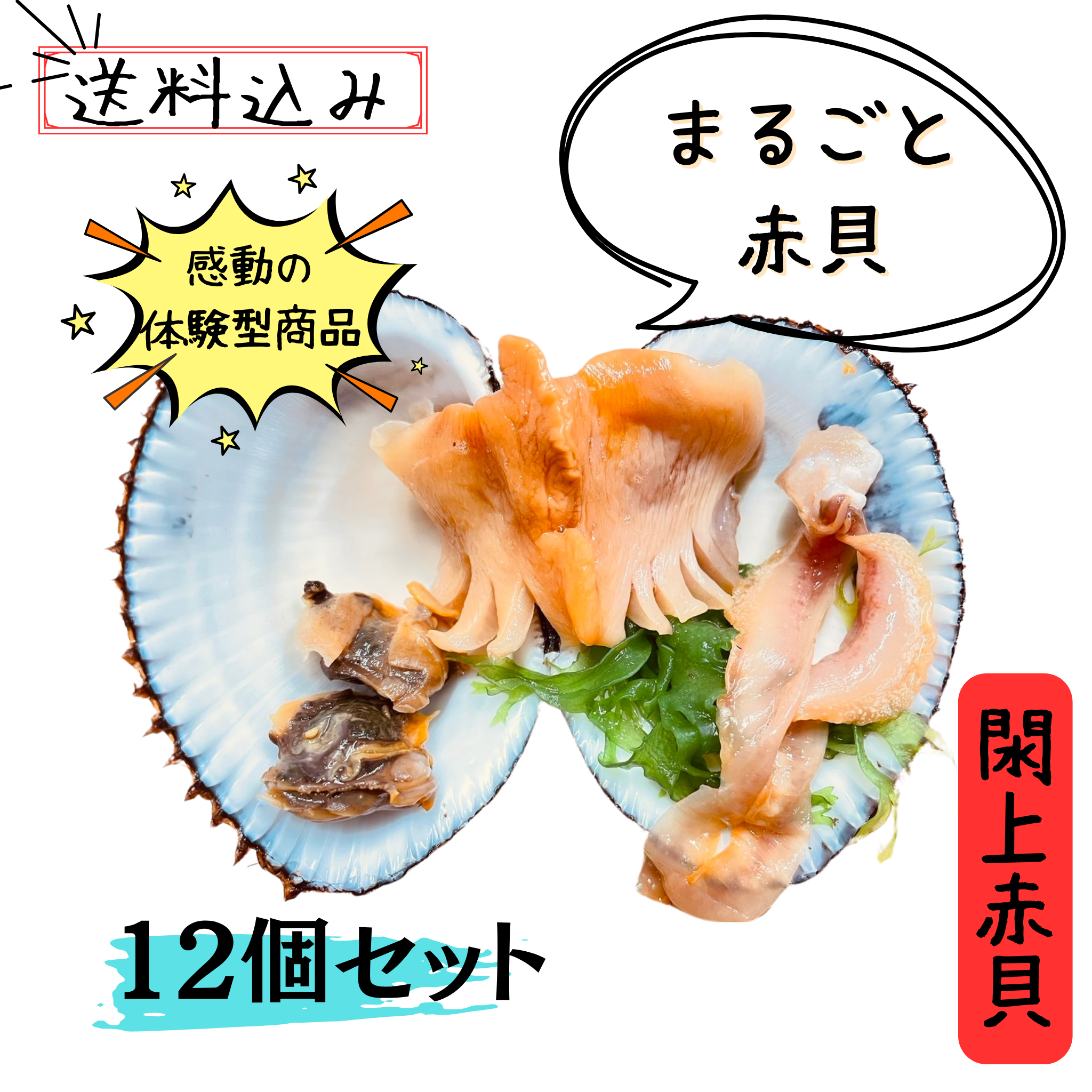 まるごと閖上赤貝12個でお得