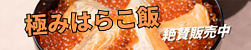 はらこ飯