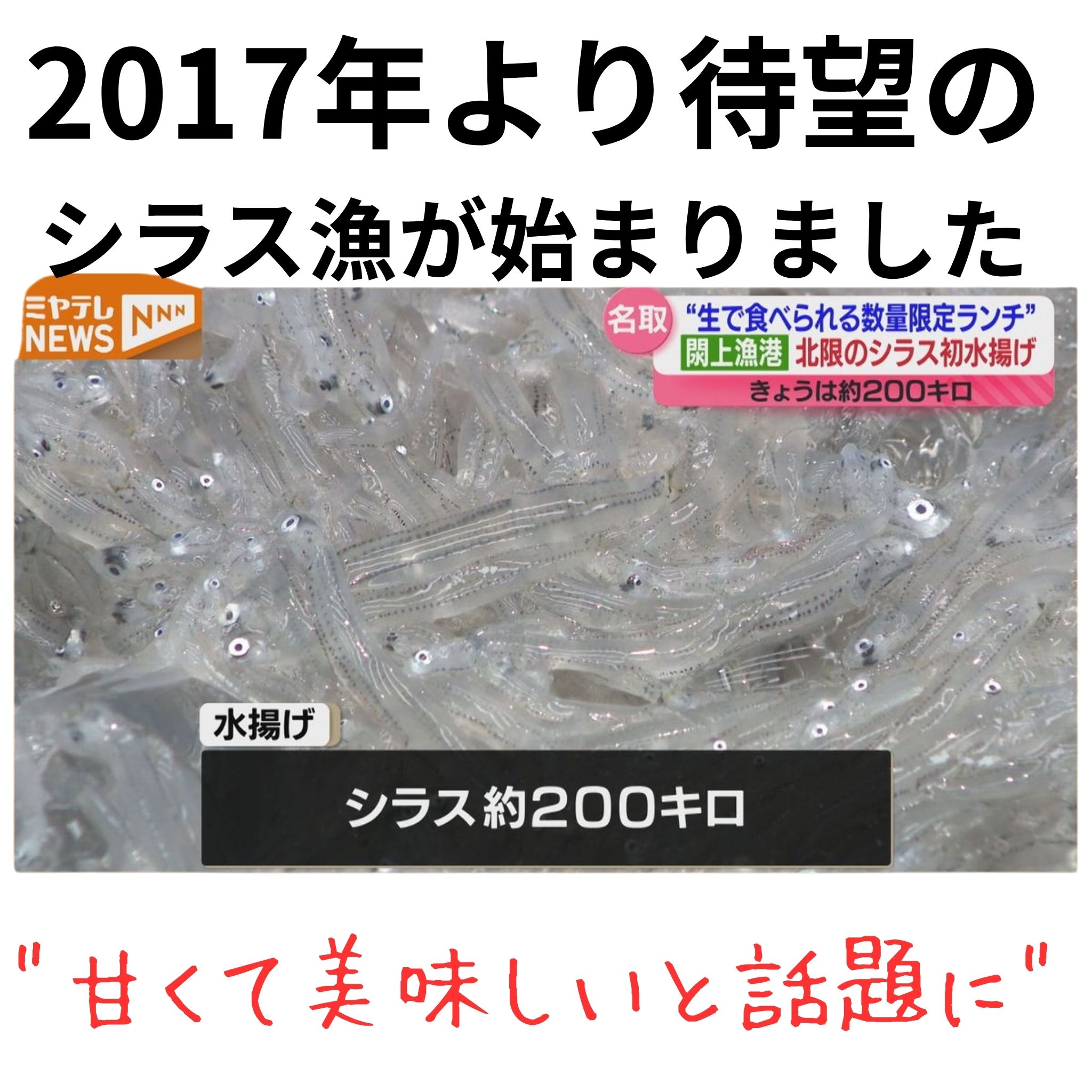 namasirasu1.jpg